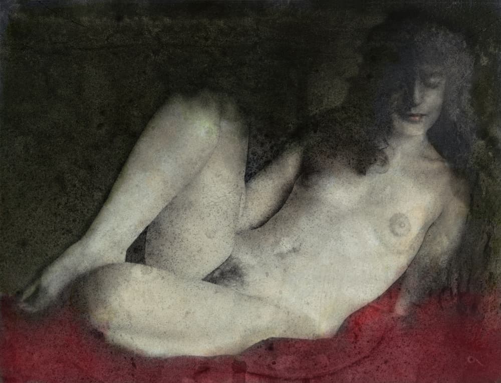 Sensual Reclining Nude by Fuyuki Hattori — canvas wall art