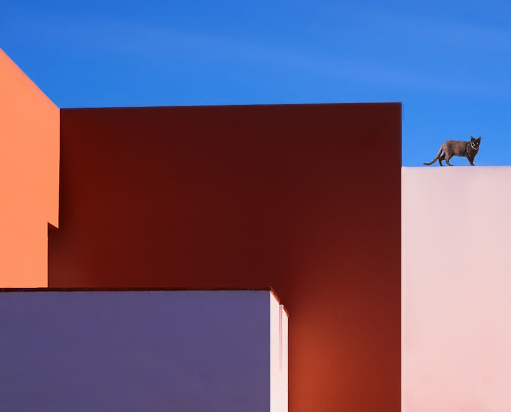 Colorful Cat Architecture by Erik Engström — canvas wall art