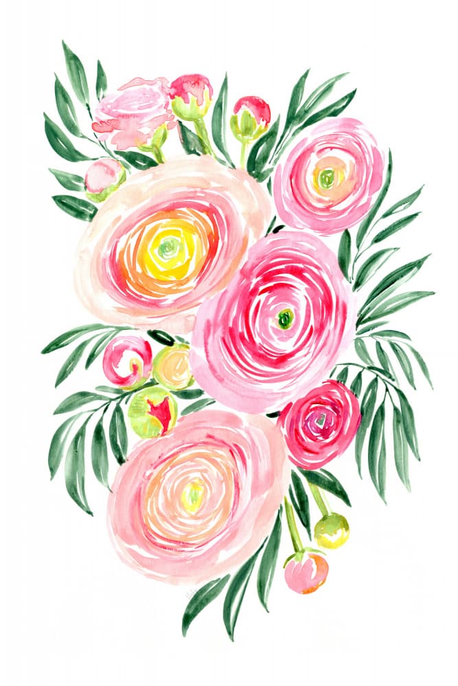 Pink Ranunculus Watercolor by Rosana Laiz Blursbyai — canvas wall art