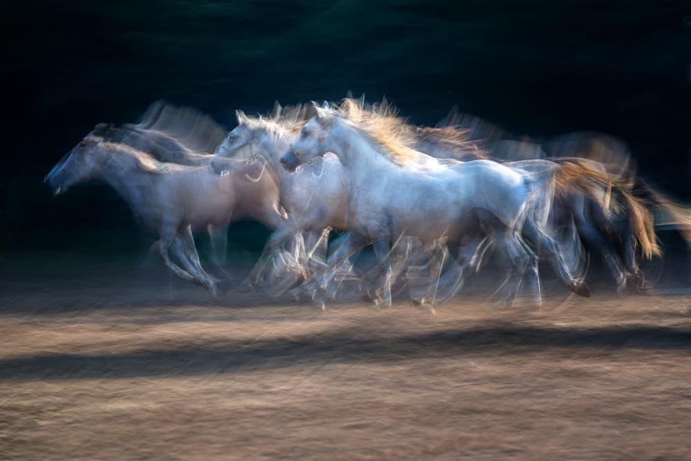 Ethereal Running Horses by Milan Malovrh — canvas wall art