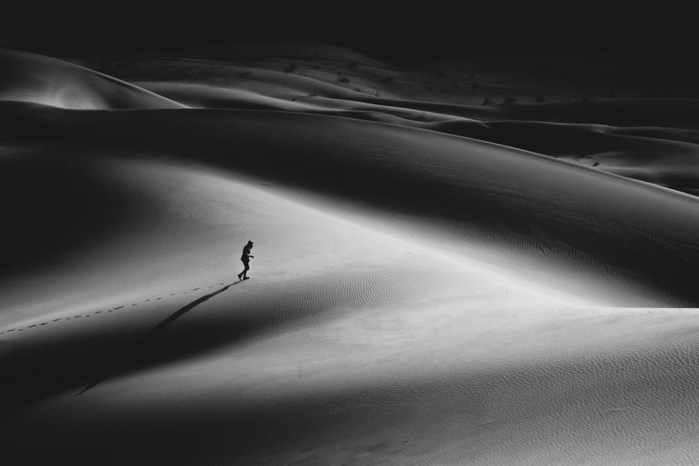 Solitary Desert Walk by Hamid Jamshidian — canvas wall art