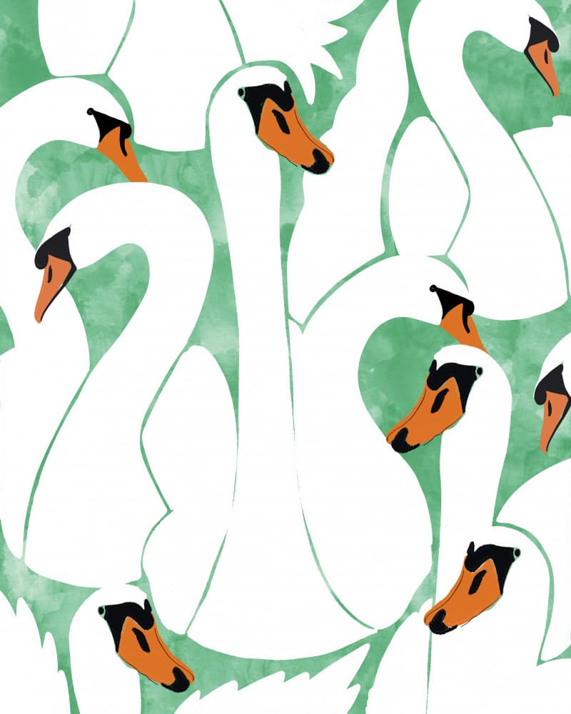Graceful Swan Pattern