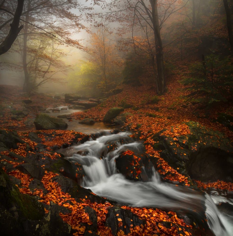 Misty Autumn Stream by Alexander Alexandrov — canvas wall art