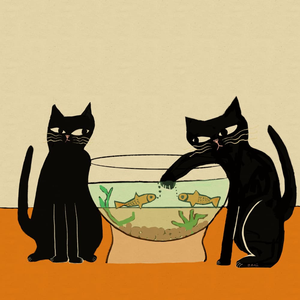 Mischievous Cat And Fish by Sharyn Bursic — canvas wall art