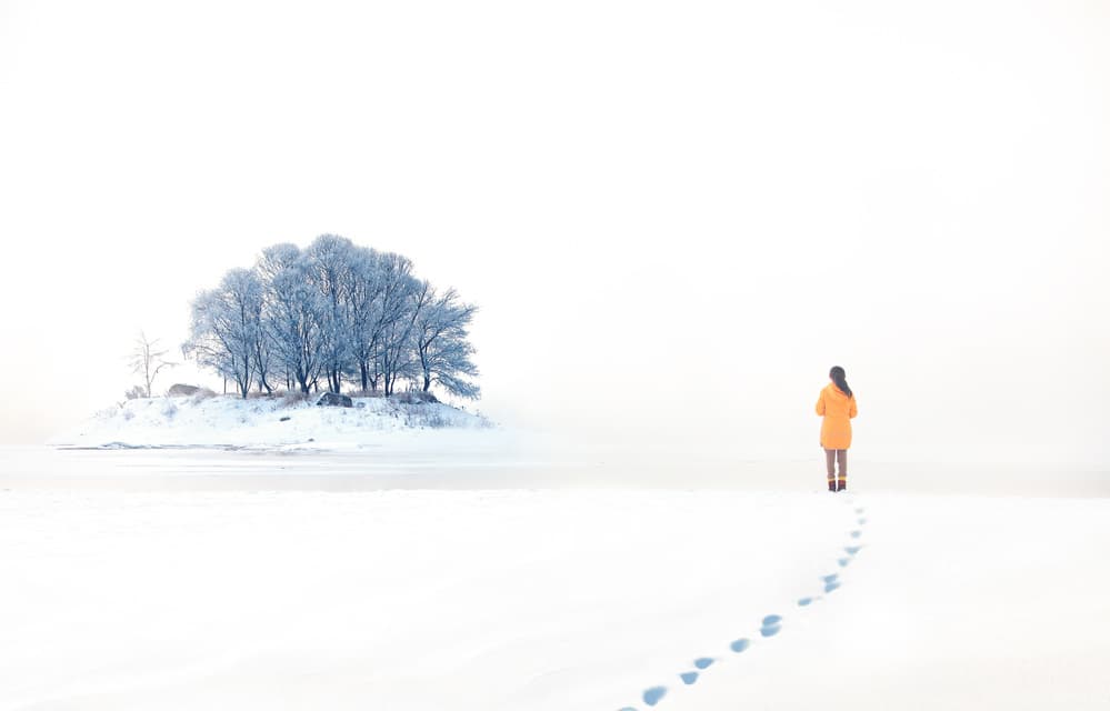 Winter Solitude Walk by Stanley Lee — canvas wall art