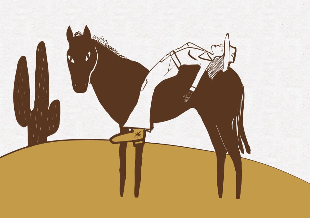 Desert Cowboy Horseplay