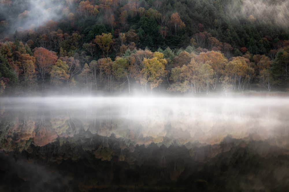 Misty Autumn Lake by Daiki Suzuki — canvas wall art