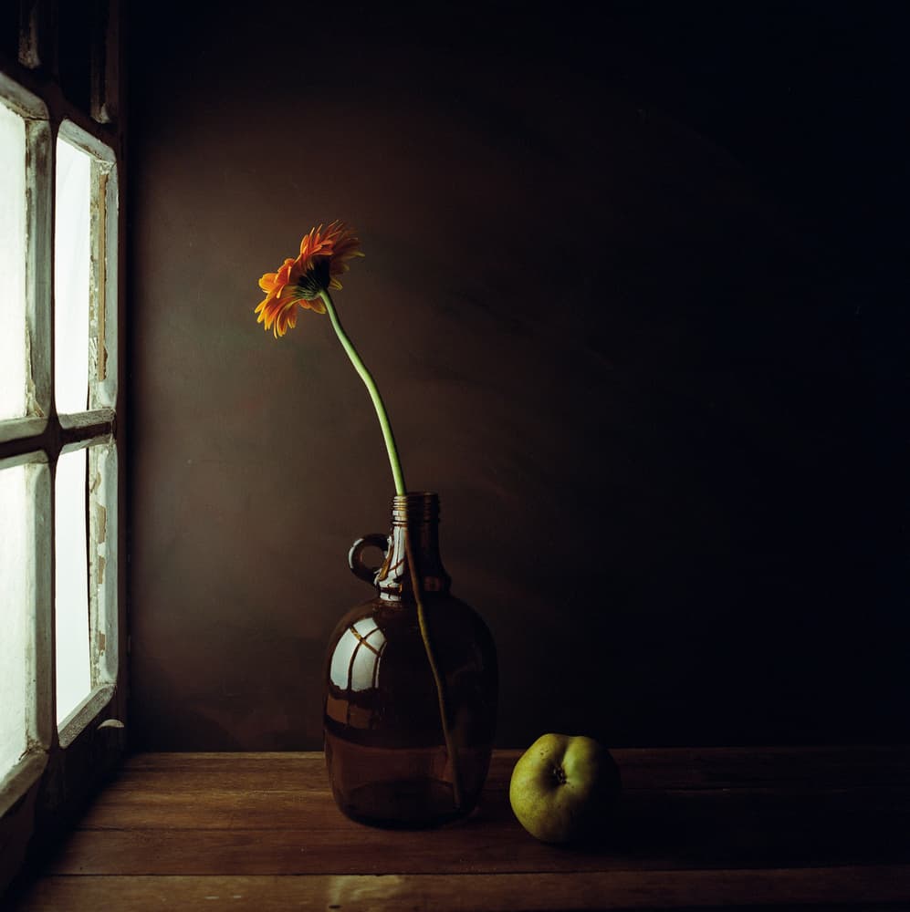 Moody Window Still Life by Luiz Laercio — canvas wall art