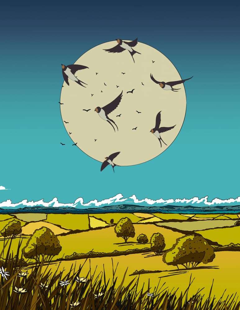 Swallows Over Golden Fields by Nicholas — canvas wall art