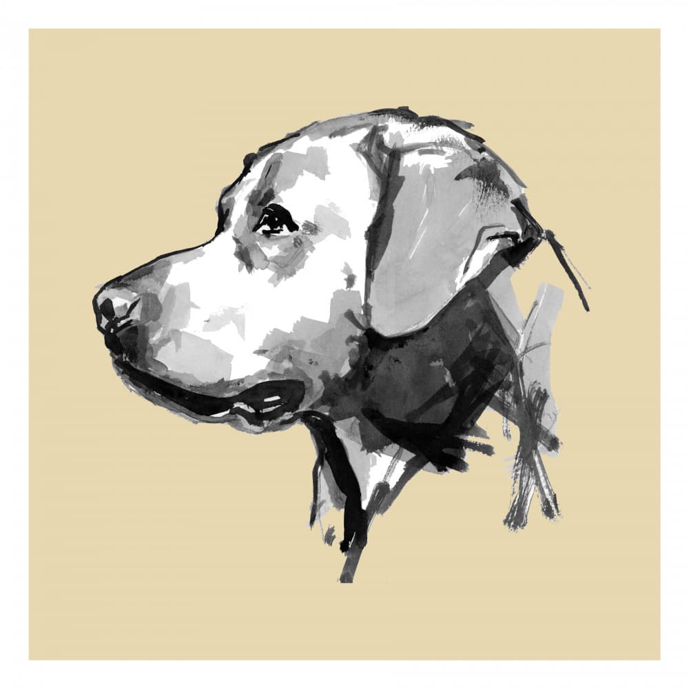 Expressive Dog Profile by cartissi — canvas wall art