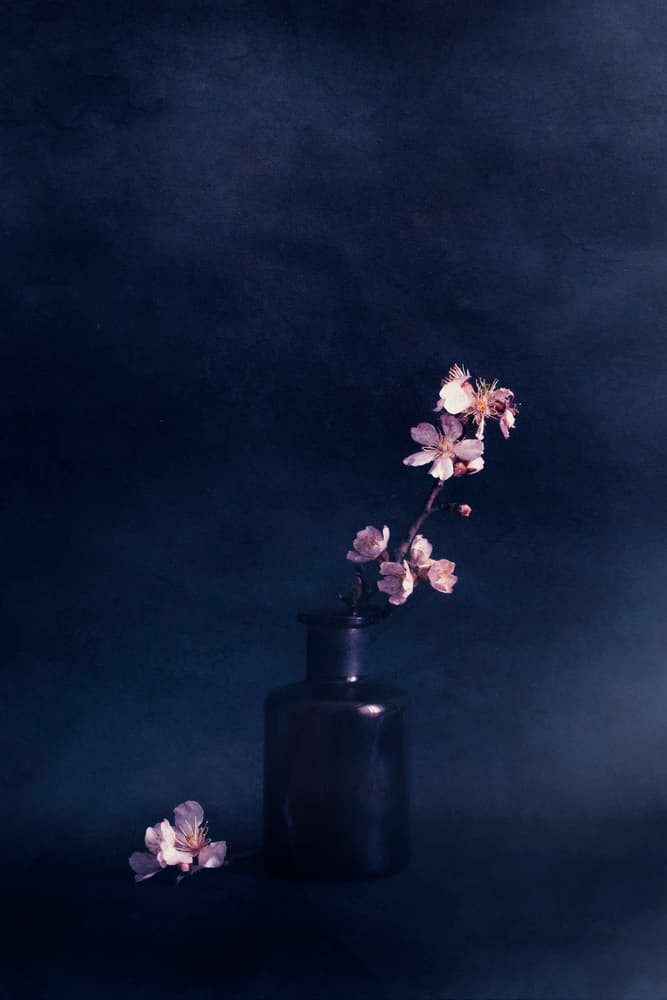 Moody Floral Vase by Cicek Kiral — canvas wall art