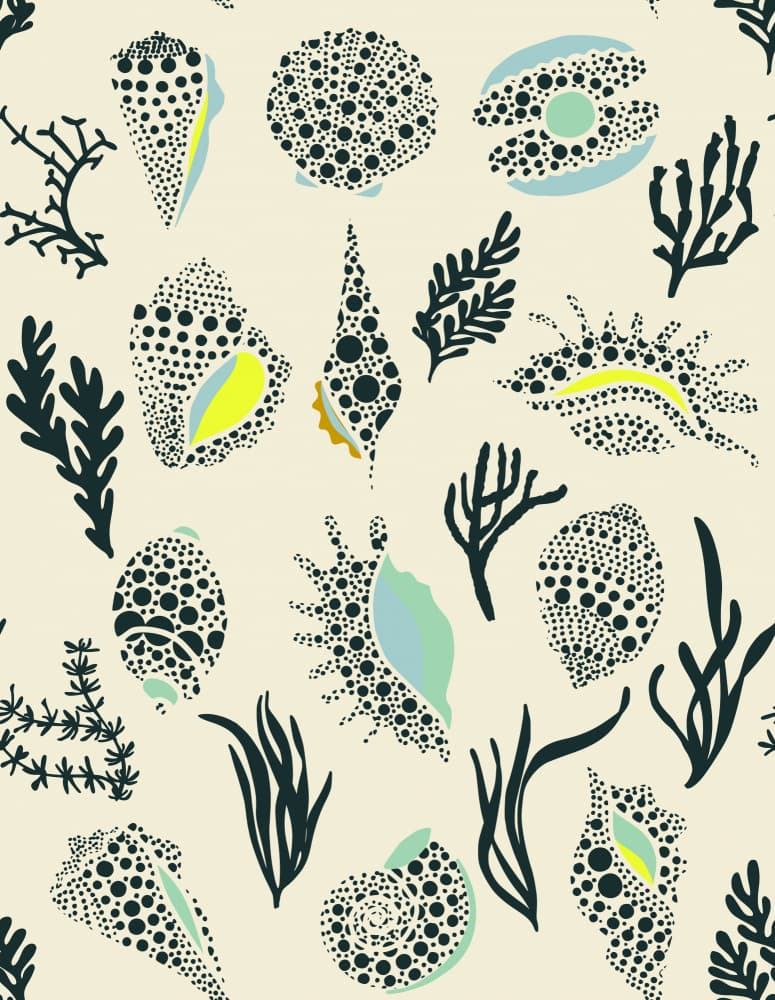 Dotted Ocean Shells by Annick — canvas wall art
