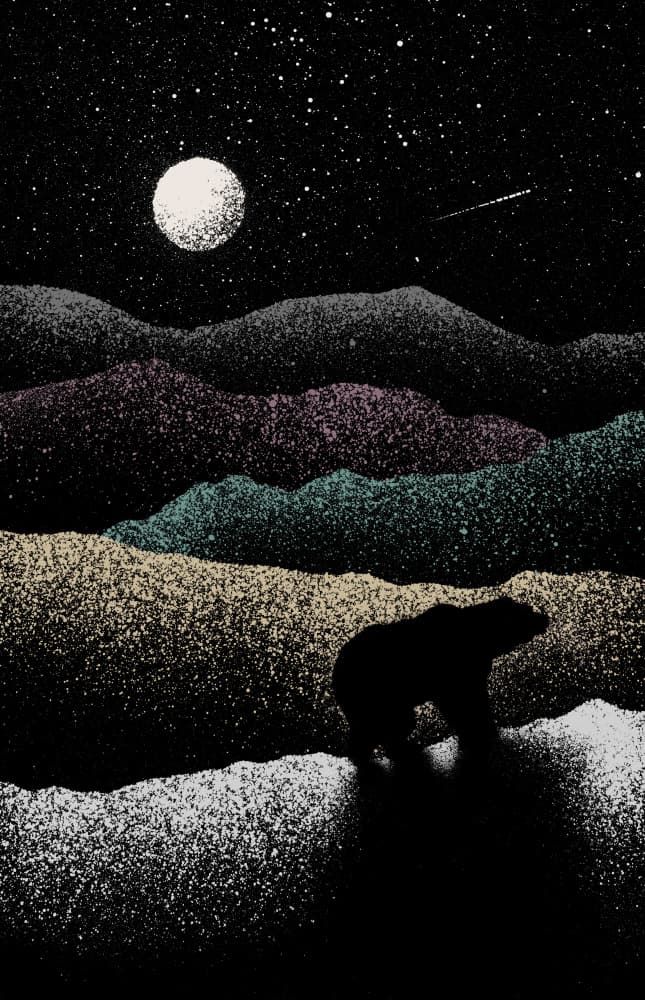 Bear Under Starry Night by Florent Bodart — canvas wall art