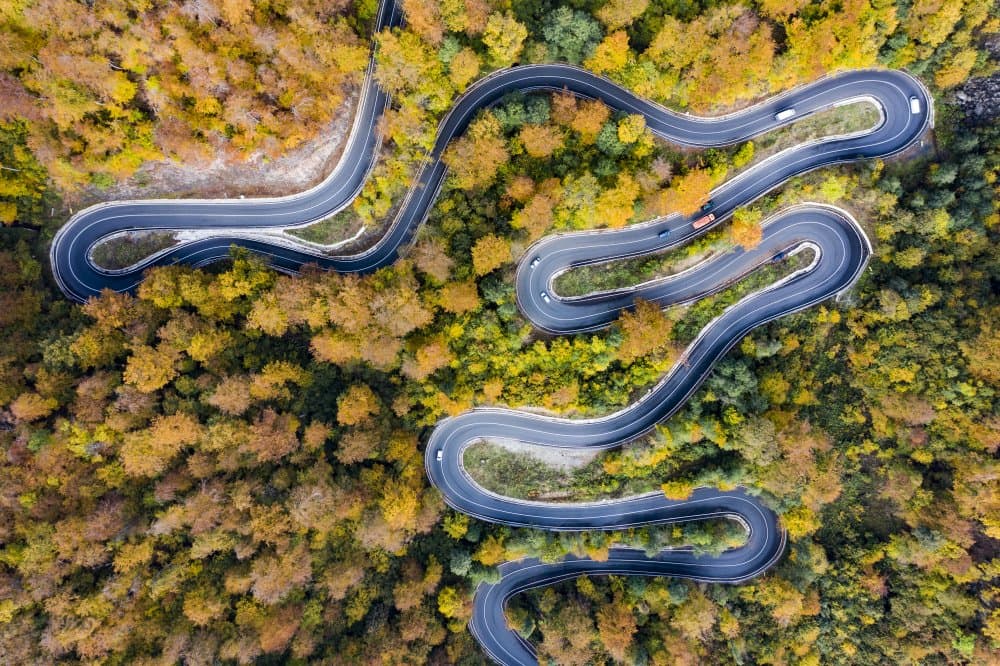 Winding Autumn Road by Eros Erika — canvas wall art