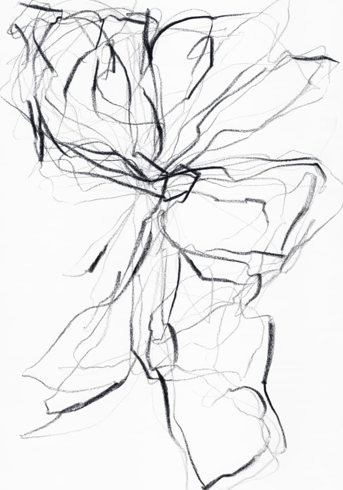Flowing Abstract Lines by uplusmestudio — canvas wall art