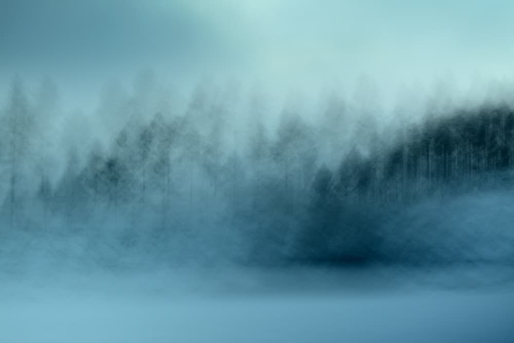 Misty Blue Forest by Christina Sillèn — canvas wall art
