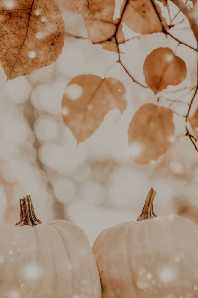 Cozypumpkinimpressionno04 by Treechild — canvas wall art