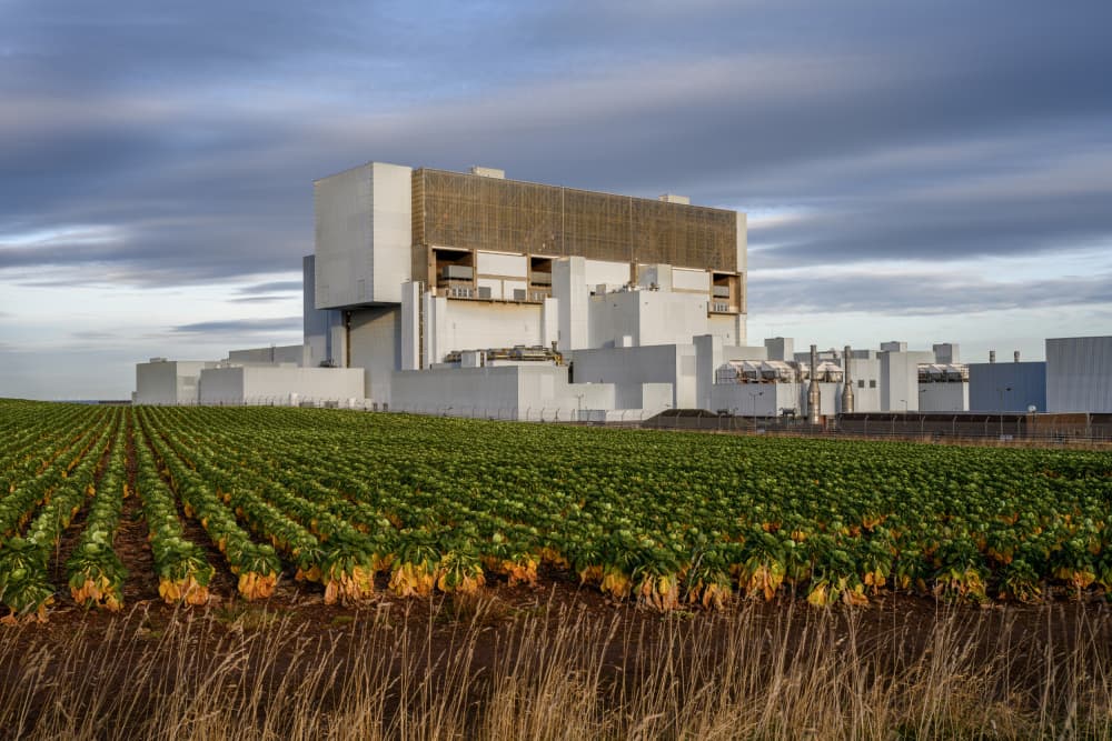 Fields of Power by John Deakin — canvas wall art