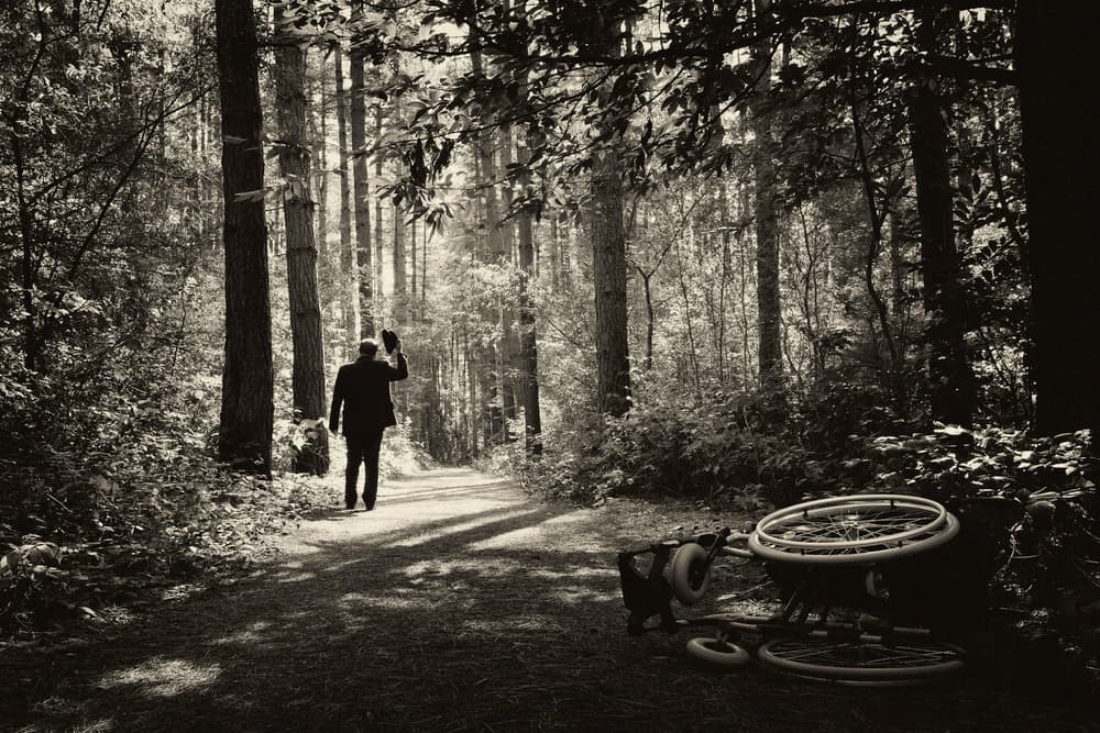 Walk to Freedom by Luc Stalmans — canvas wall art