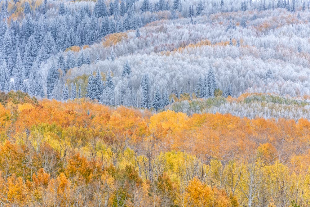 Fall Colors Winter Snow by Mei Xu — canvas wall art
