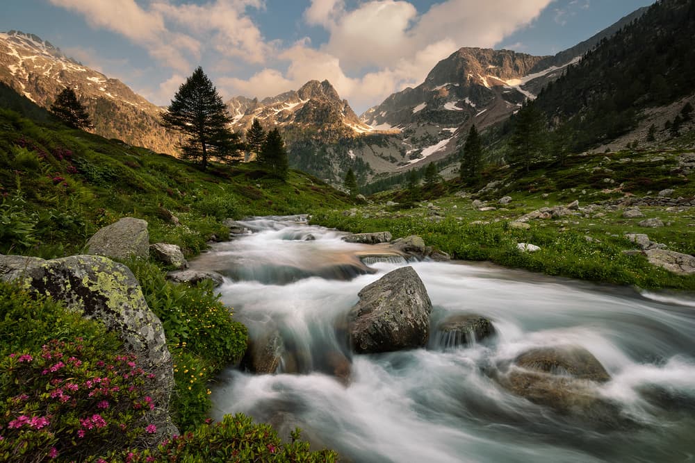 Alpine Stream Serenity by Paolo Bolla — canvas wall art