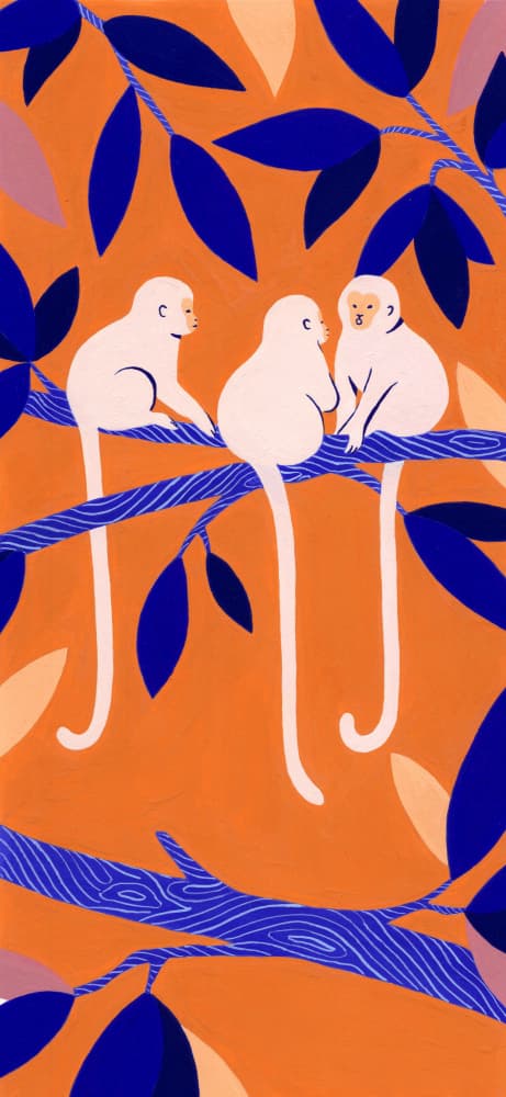 Colorful Tree Monkeys