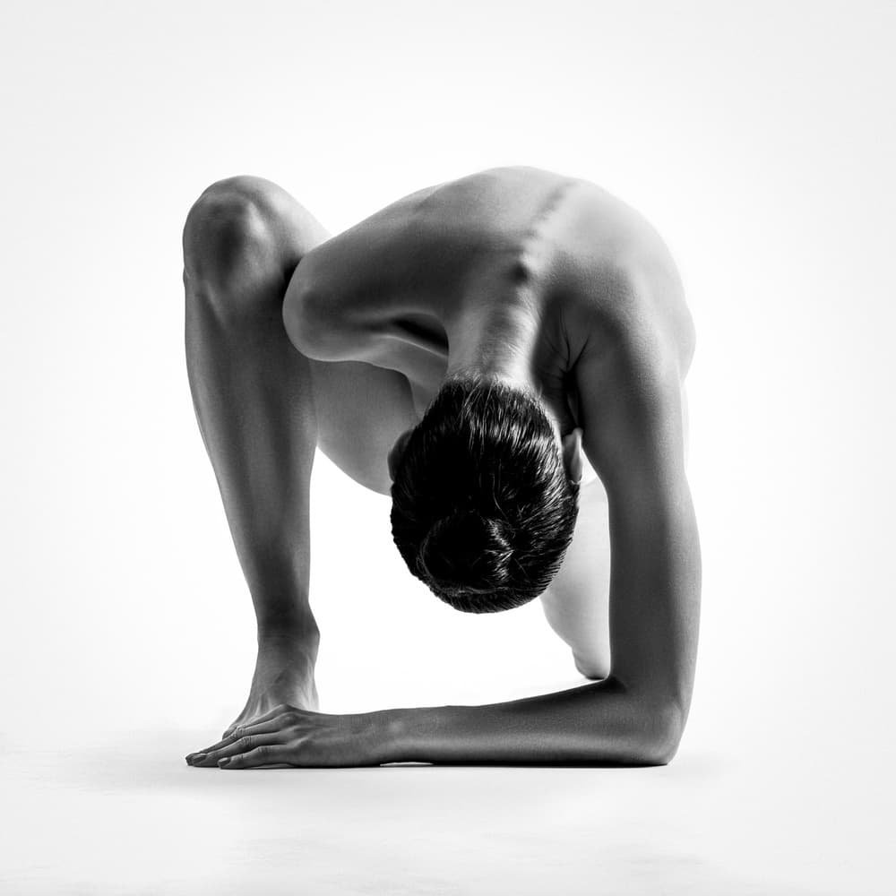 Flexible Human Form by AURIMAS VALEVICIUS — canvas wall art