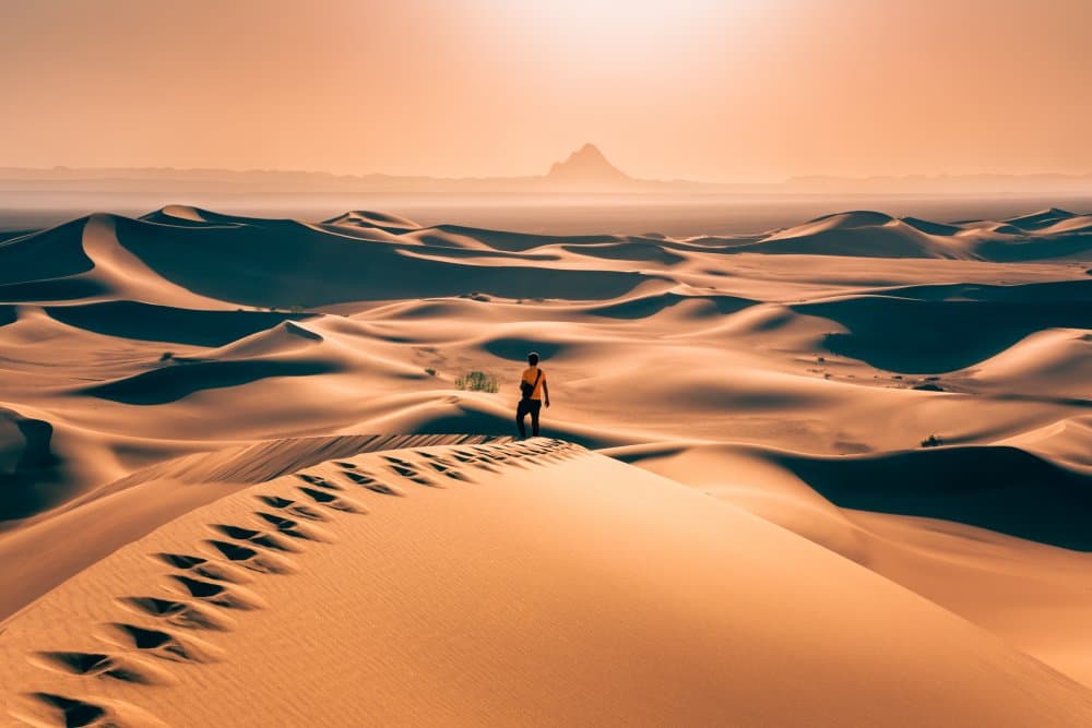 Golden Desert Solitude by Hamed Qane — canvas wall art