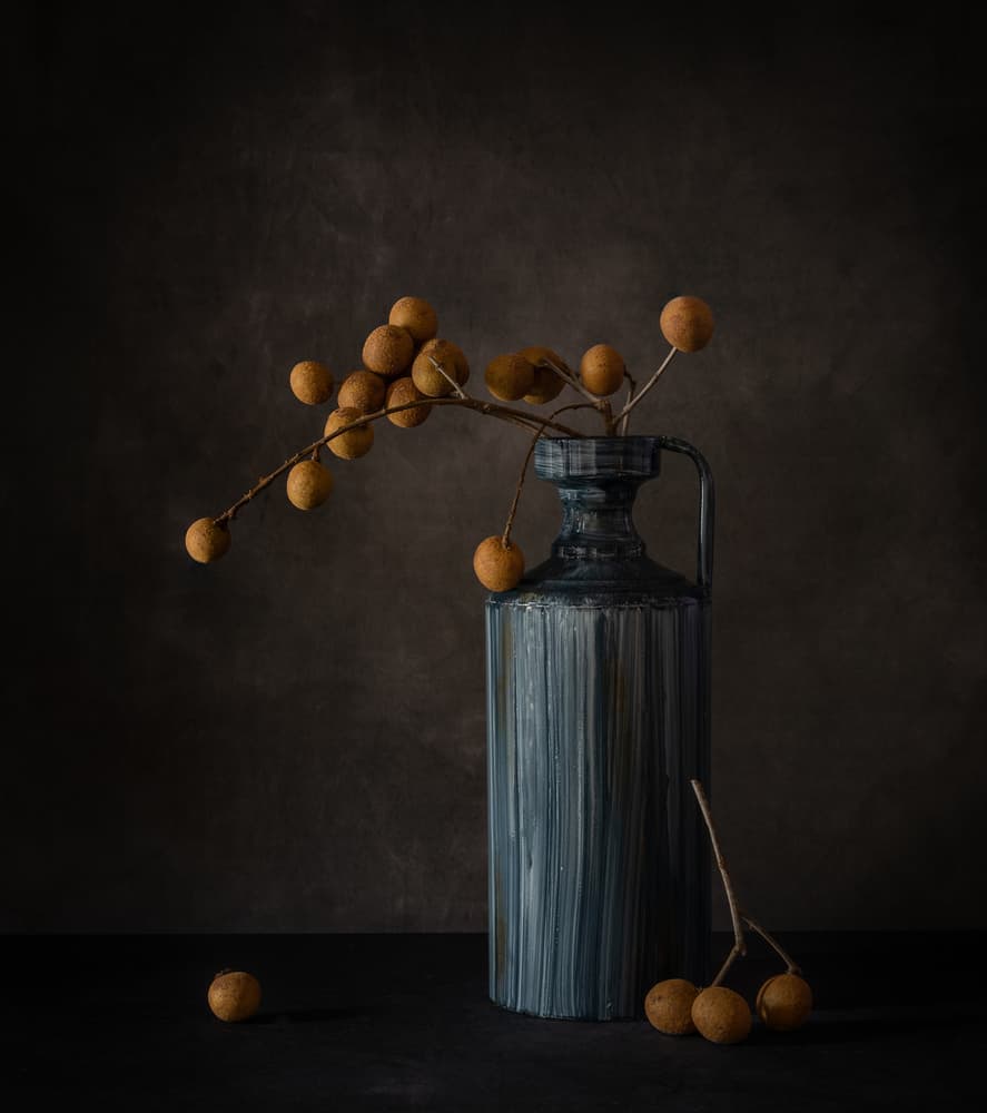 Longan Still Life by May G — canvas wall art