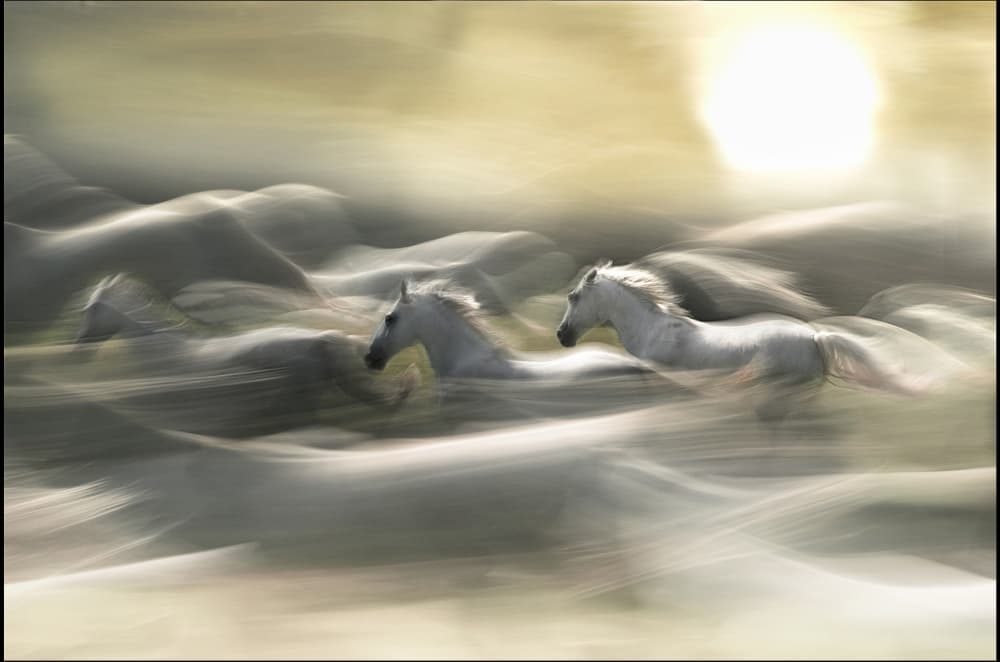 Galloping White Horses by Milan Malovrh — canvas wall art