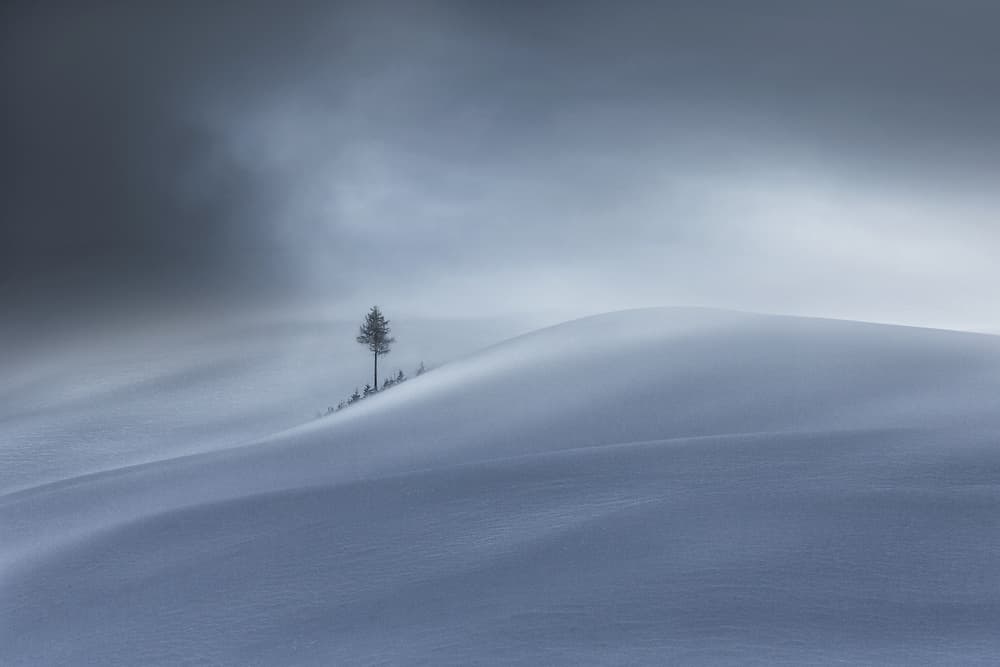 Solitary Winter Serenity by Uschi Hermann — canvas wall art