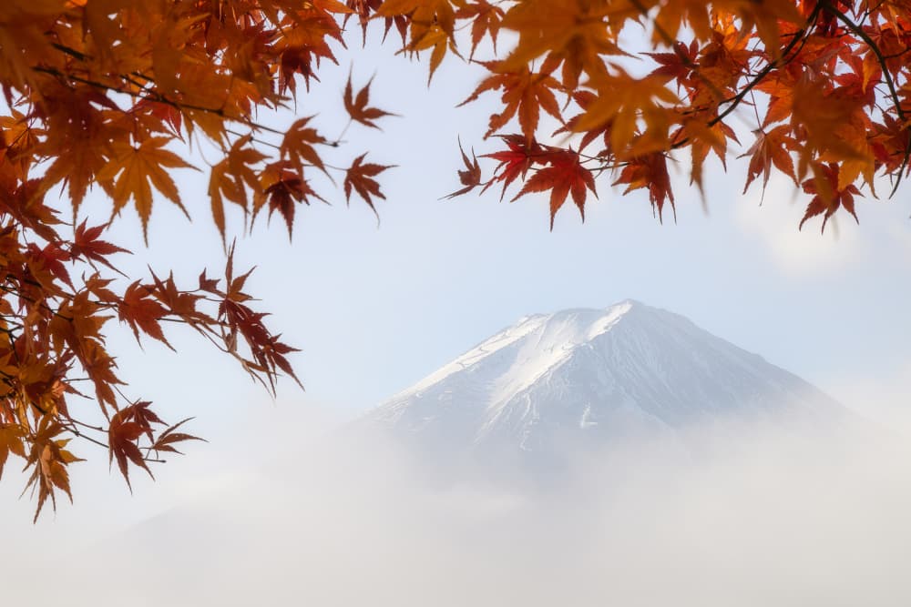 Misty Fuji Autumn by Dmitry Razr — canvas wall art