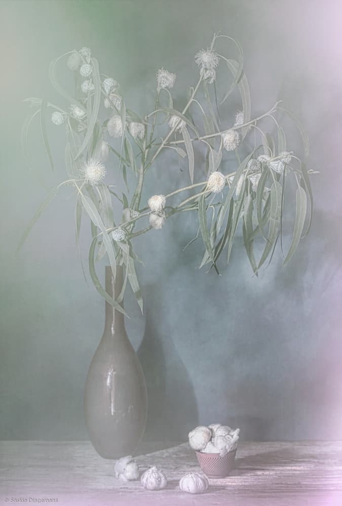 Winter glow. by Saskia Dingemans — canvas wall art