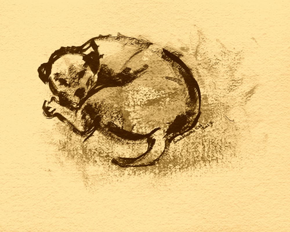 Sleeping Puppy Sketch by Santhosh ch — canvas wall art