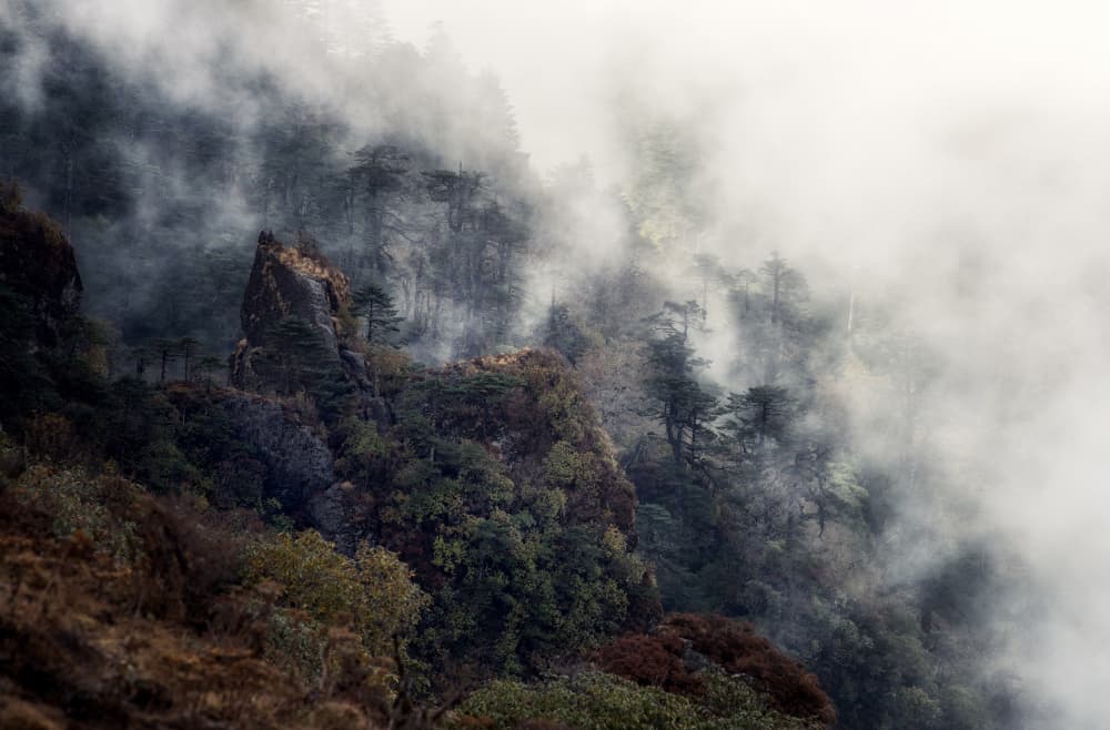 Misty Mountain Forest by swapnil deshpande — canvas wall art