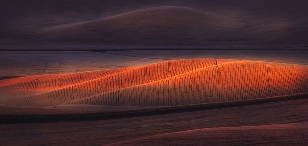 Golden Hills Twilight by James Lu — canvas wall art