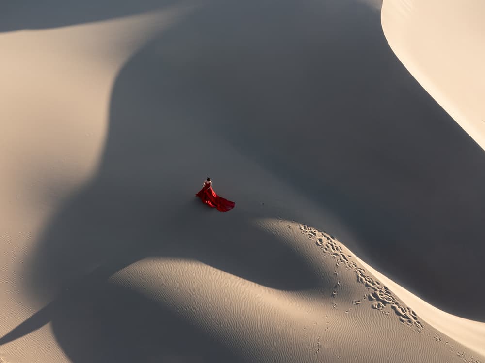 Elegant Red Dress Desert by Bingo Z — canvas wall art