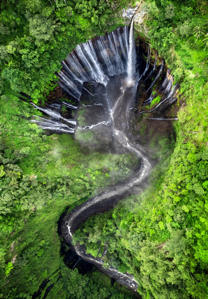 Tropical Jungle Cascades by Jie Jin — canvas wall art