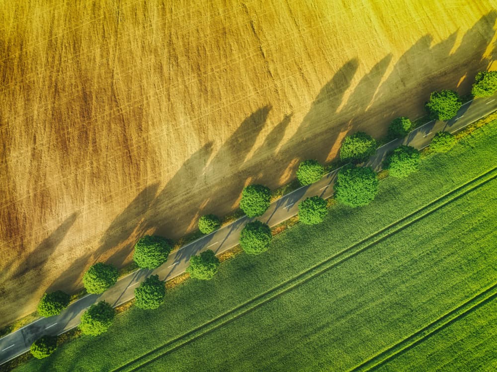 Aerial Farm Road Shadows by Guy Krier — canvas wall art