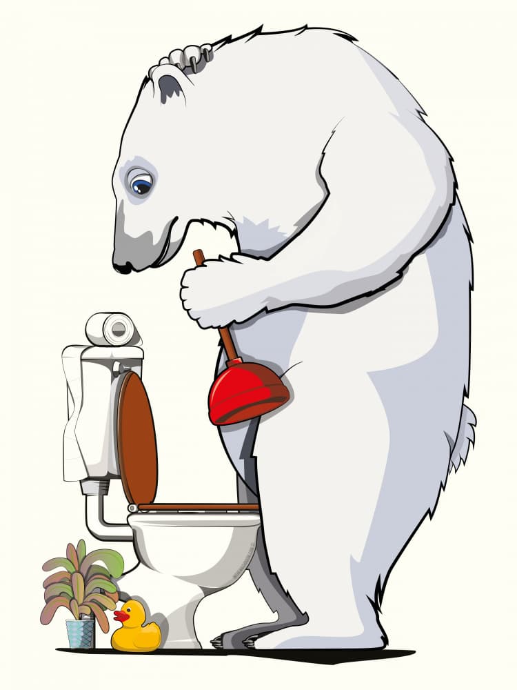 Polar Bear Plunger Problem by In The Washroom — canvas wall art