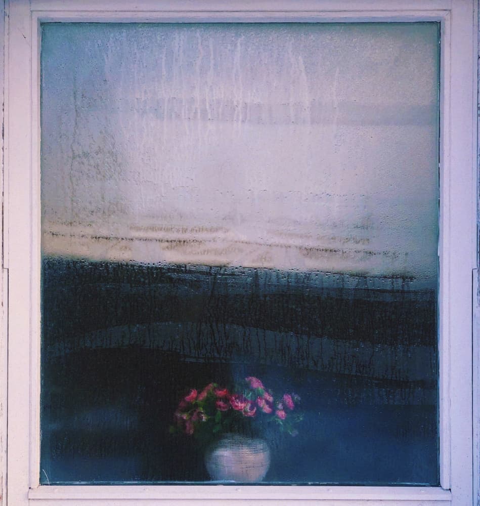 Rainy Window Flowers by Karina Aleksandrova — canvas wall art