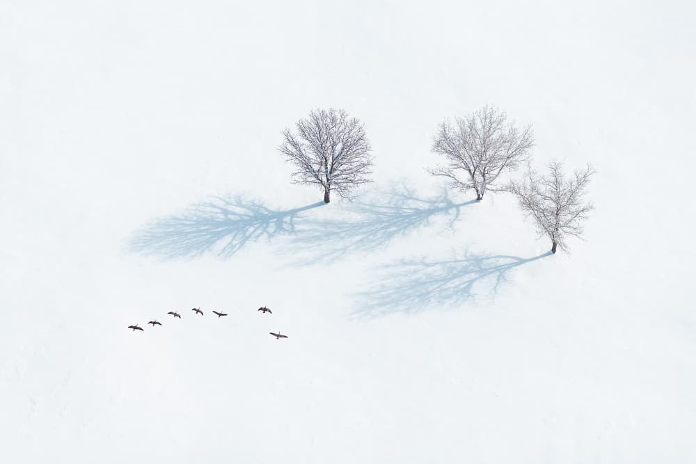 Minimal Winter Landscape