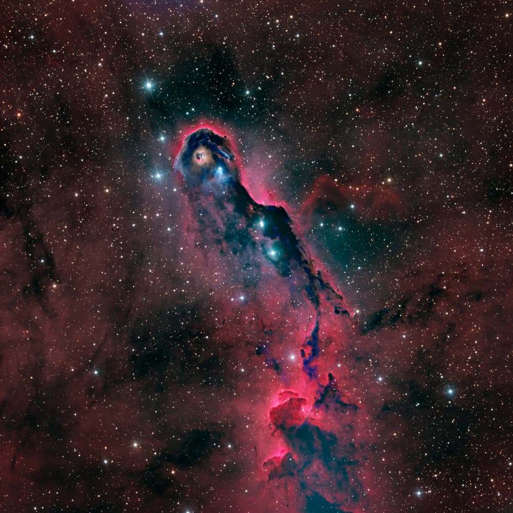 Cosmic Elephant Trunk by Vikas Chander — canvas wall art