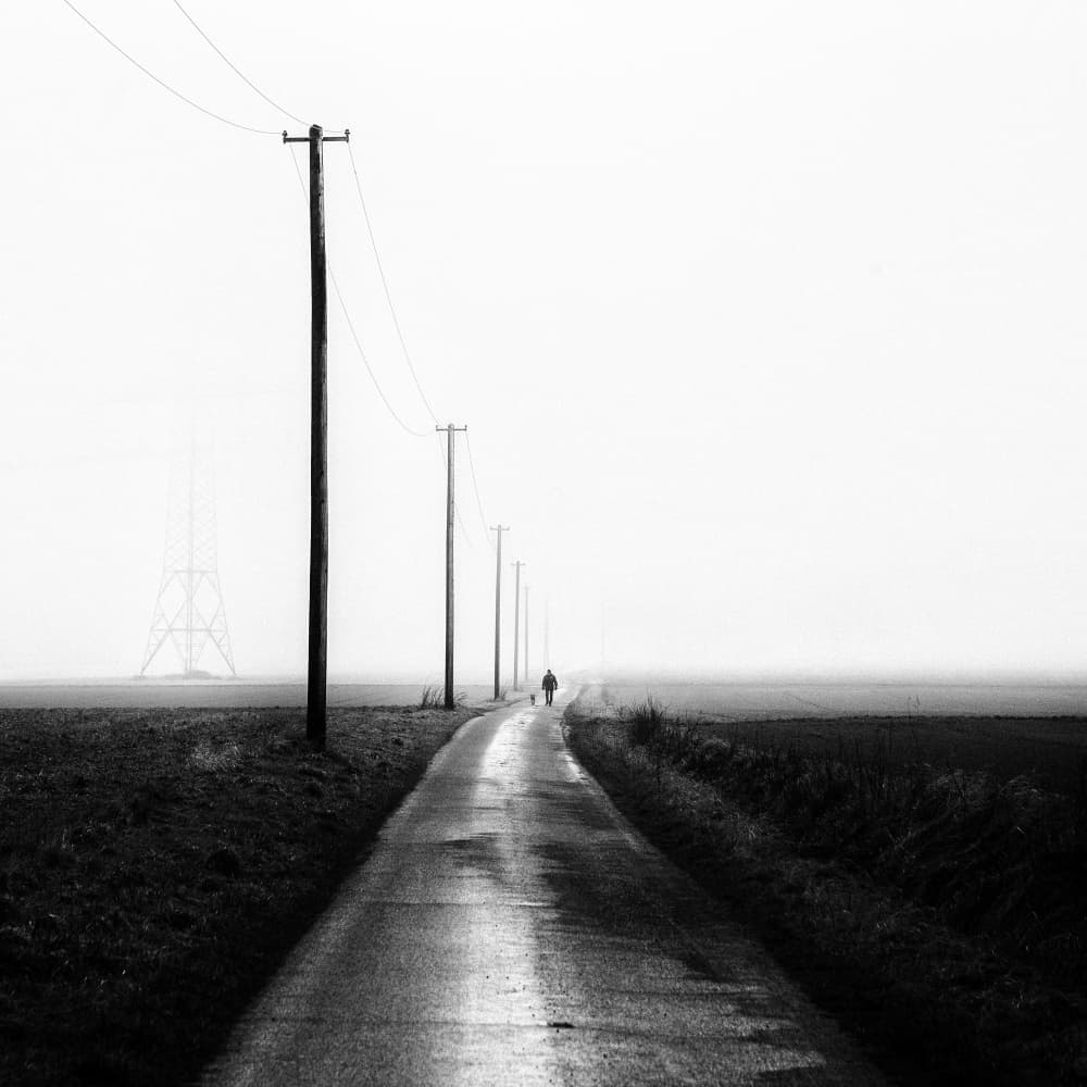 Misty Country Walk by Robert Kuavi — canvas wall art