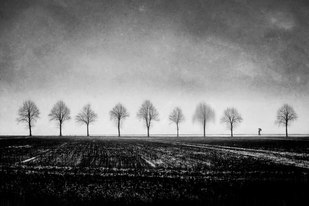 Bare Trees Solitary Figure by Adam Dauria ☂ — canvas wall art