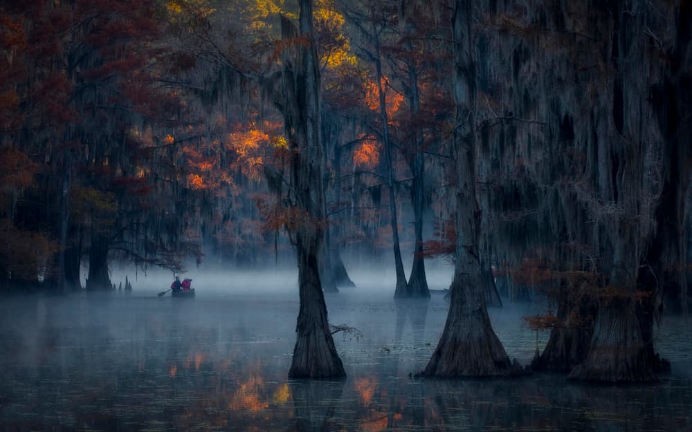 Boating Through Misty Cypress by Michael Zheng — canvas wall art