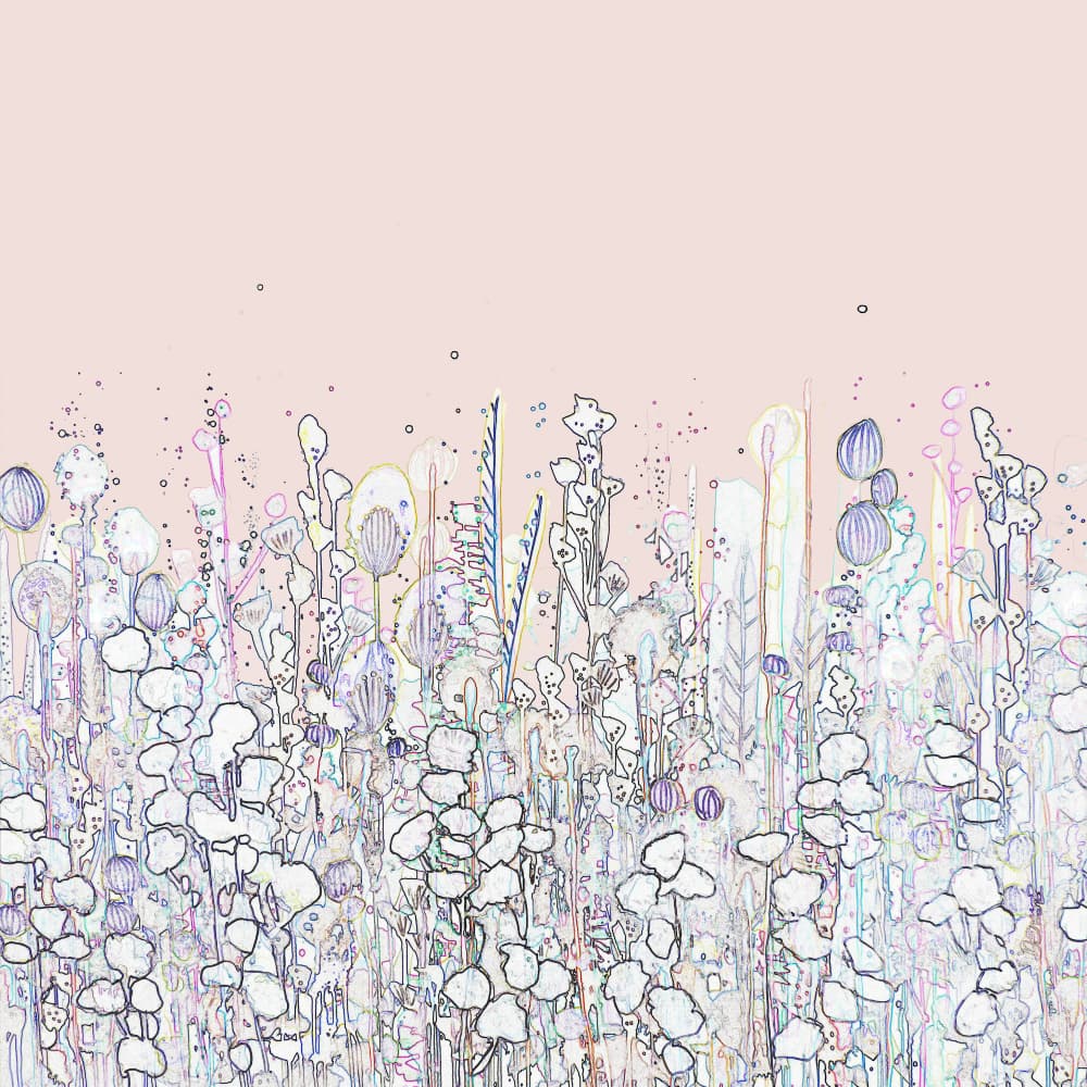 Delicate Pink Floral Field