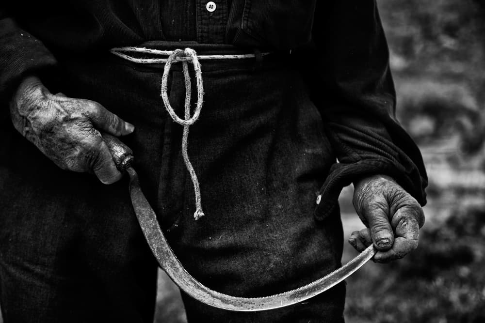 Working Hand with Sickle by Renato J. López Baldó — canvas wall art