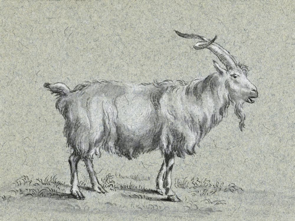 Standing Goat By Jean Bernard