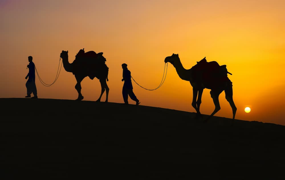 Camel Caravan Sunset by Ajit Kumar Majhi — canvas wall art